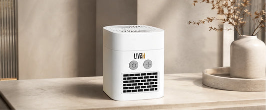 Best Portable Heater Fan in India - LivinH Air Switch Pro