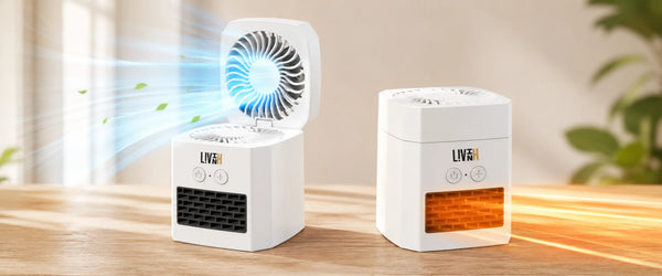 Heater for Winter, Fan for Summer: Why One Device Makes More Sense in India