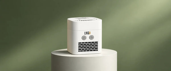 How Does PTC Ceramic Heating Work?