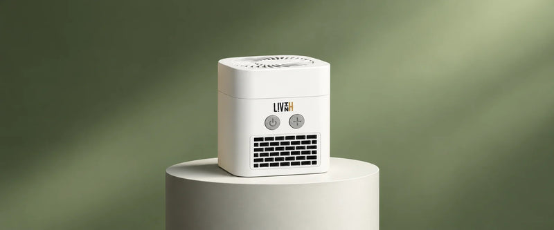 How Does PTC Ceramic Heating Work?