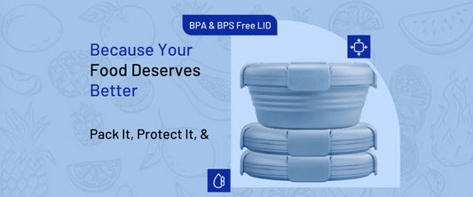 Best Collapsible Silicone Lunch Box